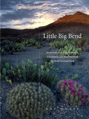 Little Big Bend: Common, Uncommon, and Rare Plants of Big Bend National Park (Grover E. Murray Studies in the American Southwest)