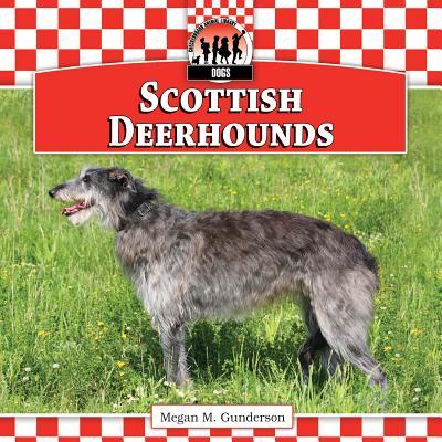 Scottish Deerhounds (Dogs, 10)